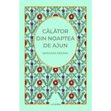 Calator din noaptea de ajun - Anisoara Odeanu, editura Litera