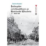 Intamplari neintamplatoare pe Bulevardul Elisabeta: Sec. XIX-XX - Cezara Mucenic, editura Vremea