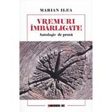 Vremuri imbarligate. Antologie de proza - Marian Ilea, editura Eikon