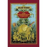 Copiii capitanului Grant. In America de Sud - Jules Verne, editura Litera