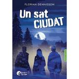 Un sat ciudat - Florian Dennisson, editura Booklet