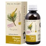 SHORT LIFE - Sirop Muguri de Pin Dacia Plant, 200 ml