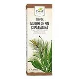 SHORT LIFE - Sirop de Muguri de Pin si Patlagina Dorel Plant, 200 ml