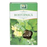 SHORT LIFE - Ceai de Rostopasca Stef Mar, 50 g