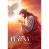 Calea spre lumina - Chico Xavier, editura Soma Nova