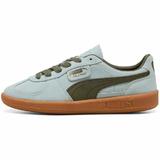 Pantofi sport barbati Puma Palermo 39646351, 43, Verde