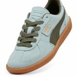 pantofi-sport-barbati-puma-palermo-39646351-43-verde-4.jpg