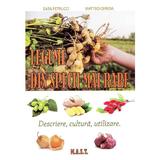 Legume din specii mai rare - Sara Petrucci, Matteo Cereda, editura Mast