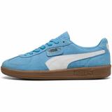 Pantofi sport barbati Puma Palermo 39646344, 43, Albastru