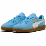 pantofi-sport-barbati-puma-palermo-39646344-44-5-albastru-3.jpg