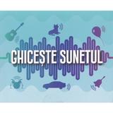 Joc: Ghiceste sunetul