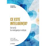 Descopera Neurostiinta. Ce Este Inteligenta? - Bertrand Regader Adrian Triglia