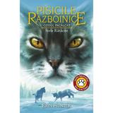 Pisicile Razboinice Vol.37: Codul Incalcat. Stele Ratacite - Erin Hunter, editura All