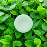 balsam-solid-pentru-ingrijirea-parului-vegan-peppermint-60-g-3.jpg