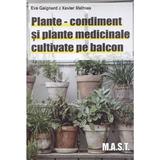 Plante-condiment si plante medicinale cultivate pe balcon - Eve Gaignard, Xavier Mathias, editura Mast