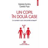 Un copil in doua case - Gabriela Dumitriu, Camelia Popa, editura Polirom