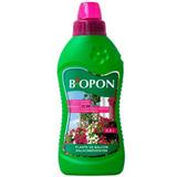 Ingrasamant plante de balcon Biopon, 0,5 l