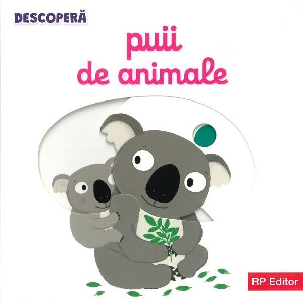 Descopera. Puii de animale, editura Rp Editor