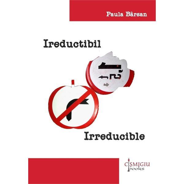 Ireductibil. Irreducible - Paula Barsan, editura Cismigiu Books