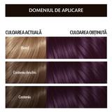 vopsea-permanenta-pentru-par-cu-amoniac-loncolor-hempstyle-nuanta-4-25-castaniu-mov-1-pachet-1742475251872-1.jpg