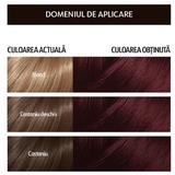 vopsea-permanenta-pentru-par-cu-amoniac-loncolor-hempstyle-nuanta-5-5-castaniu-mahon-1-pachet-1742476294637-2.jpg