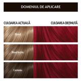 vopsea-permanenta-pentru-par-cu-amoniac-loncolor-hempstyle-nuanta-7-62-rosu-intens-1-pachet-1742479179669-1.jpg