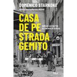 casa-de-pe-strada-gemito-domenico-starnone-editura-litera-2.jpg