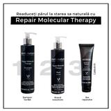 sampon-cu-acid-hialuronic-pentru-repararea-si-hidratarea-parului-grav-deteriorat-si-uscat-molecular-therapy-abril-et-nature-250-ml-3.jpg