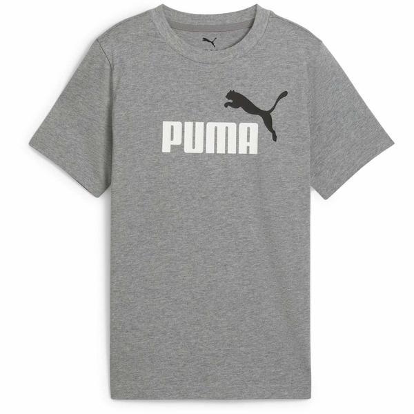 Tricou copii Puma Ess 2 Color No.1 Logo Tee B 68577803, 128, Gri