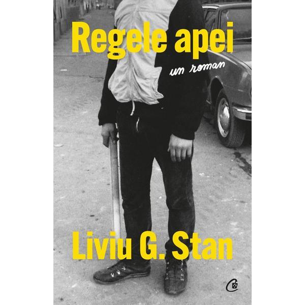 Regele apei - Liviu G. Stan, editura Curtea Veche