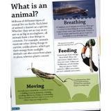 animals-editura-dorling-kindersley-children-s-3.jpg