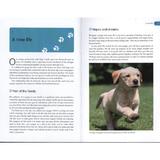 happy-puppy-handbook-editura-ebury-press-3.jpg