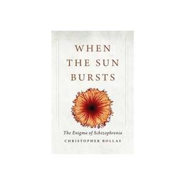 When the Sun Bursts, editura Yale University Press Academic